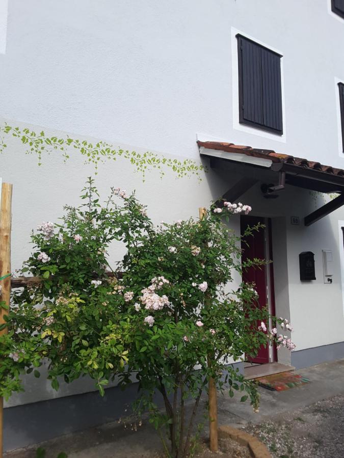 Le Giuggiole 5 Posti Letto In Una Casa Ricca D'Atmosfera Farra d'lsonzo 외부 사진